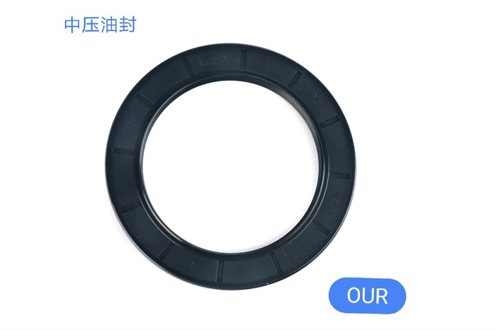 浙江高壓油封設計