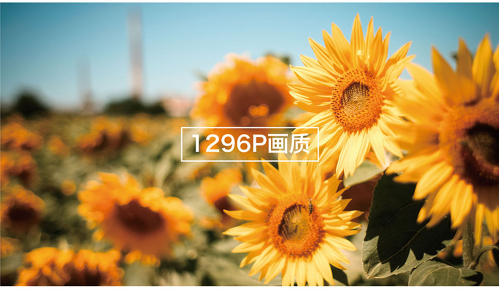 警攝高清紅外夜視現(xiàn)場(chǎng)工作記錄儀DSJ-Q9示例圖10