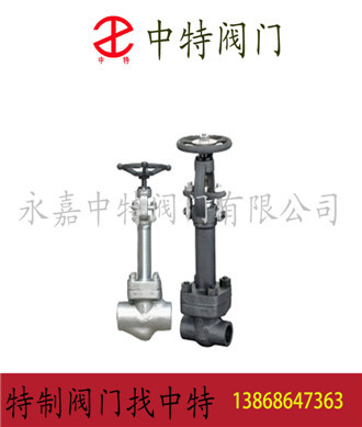 中特專業生產鍛鋼閥，鍛鋼低溫截止閥。示例圖2