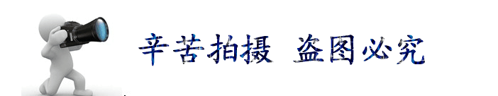 電磁脈沖閥 除塵器脈沖電磁閥 1寸直角電磁閥 DMF-Y電磁脈沖閥示例圖17