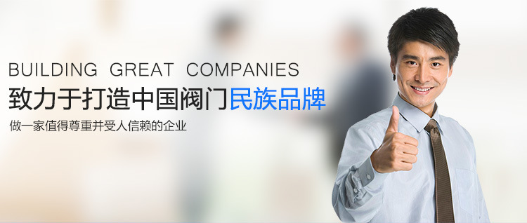 碳鋼對夾式止回閥H71H-16C管道復合式單向閥溫州廣華對夾式逆止閥示例圖1