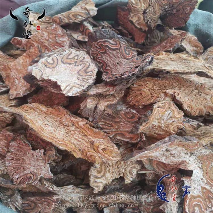 飛天蠄蟧用法用量 龍骨風 龍骨風產地 支持定制 紅晟