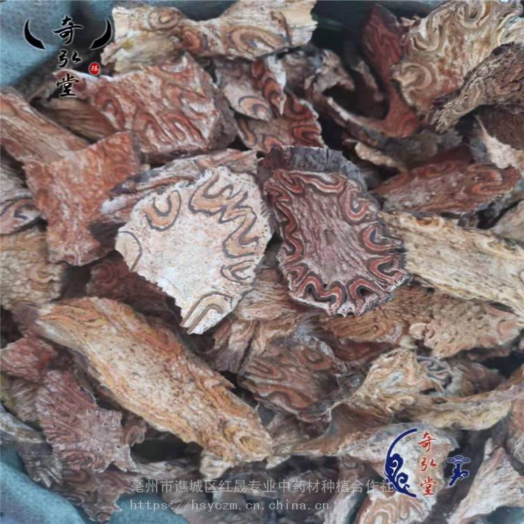 刺桫欏 龍骨風(fēng) 龍骨風(fēng)產(chǎn)地 支持定制 紅晟
