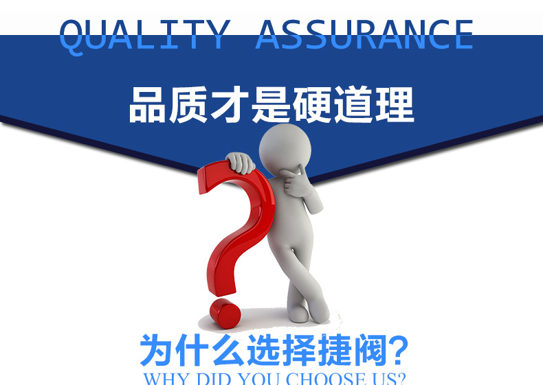 大口徑氮封自力式調節閥V6000示例圖1