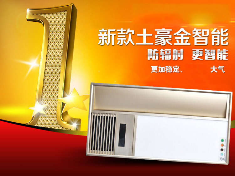 300*600兩燈三合一集成吊頂浴霸 兩燈取暖器廠家批發(fā)示例圖72