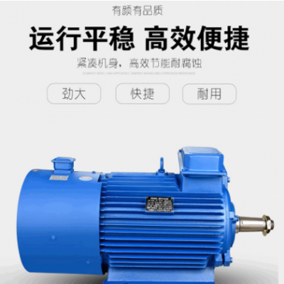 變頻起重電機(jī)5.5千瓦YZP160M1-6極5.5KW銅全新冶金起重變頻電動(dòng)機(jī)