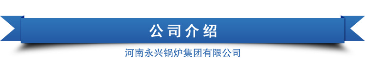 太康 永興鍋爐天然氣采暖爐 醇基燃料鍋爐價格廠家直銷示例圖22