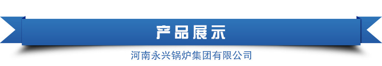 太康 永興鍋爐天然氣采暖爐 醇基燃料鍋爐價格廠家直銷示例圖2