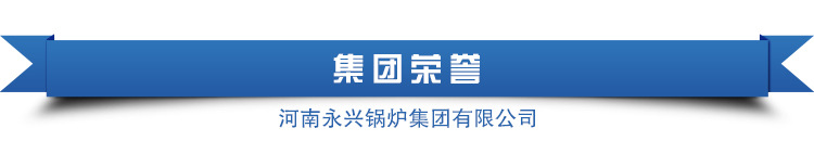 太康 永興鍋爐天然氣采暖爐 醇基燃料鍋爐價格廠家直銷示例圖18