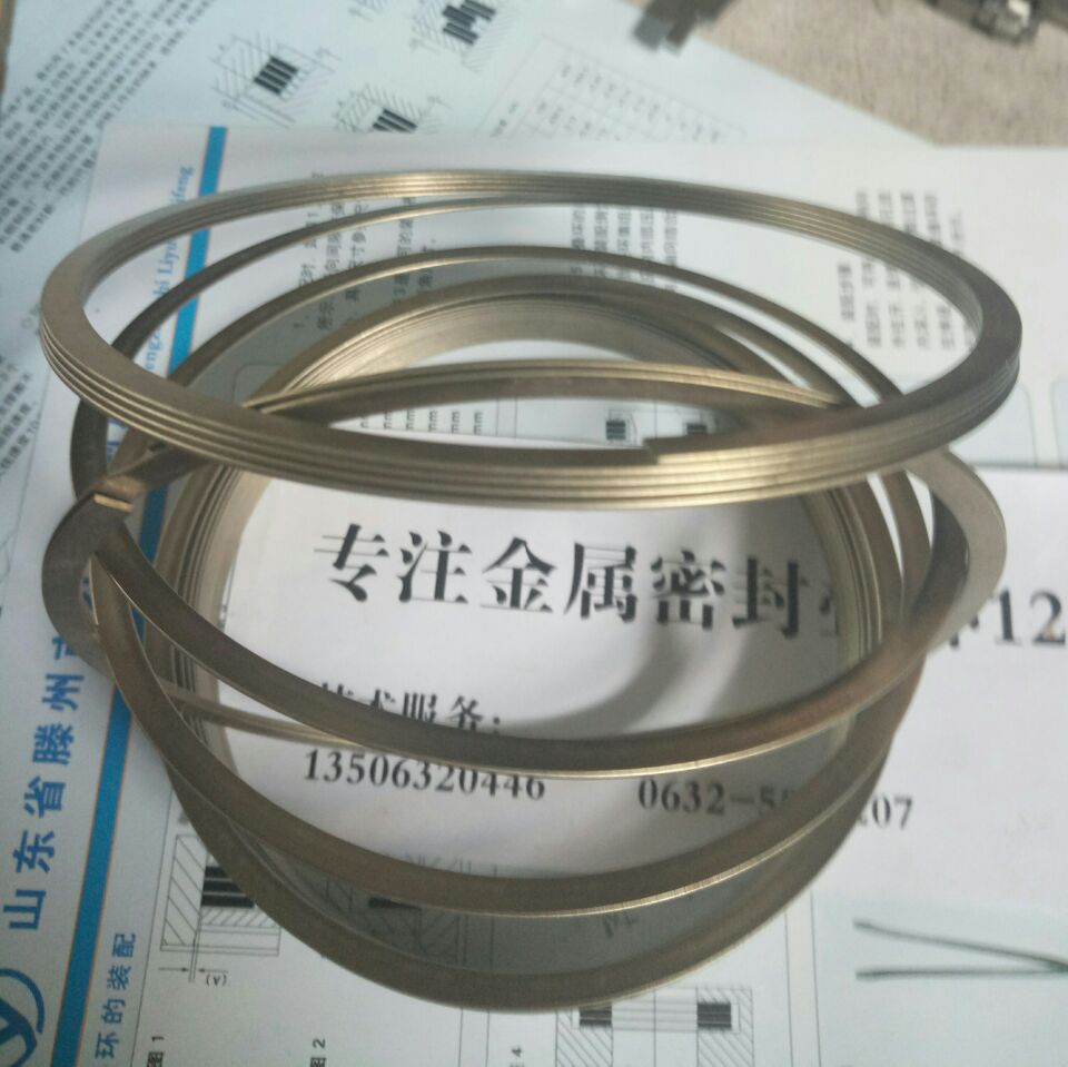 密封疊環 疊環 金屬密封疊環 ISD 200 密封環 金屬纏繞墊片示例圖3