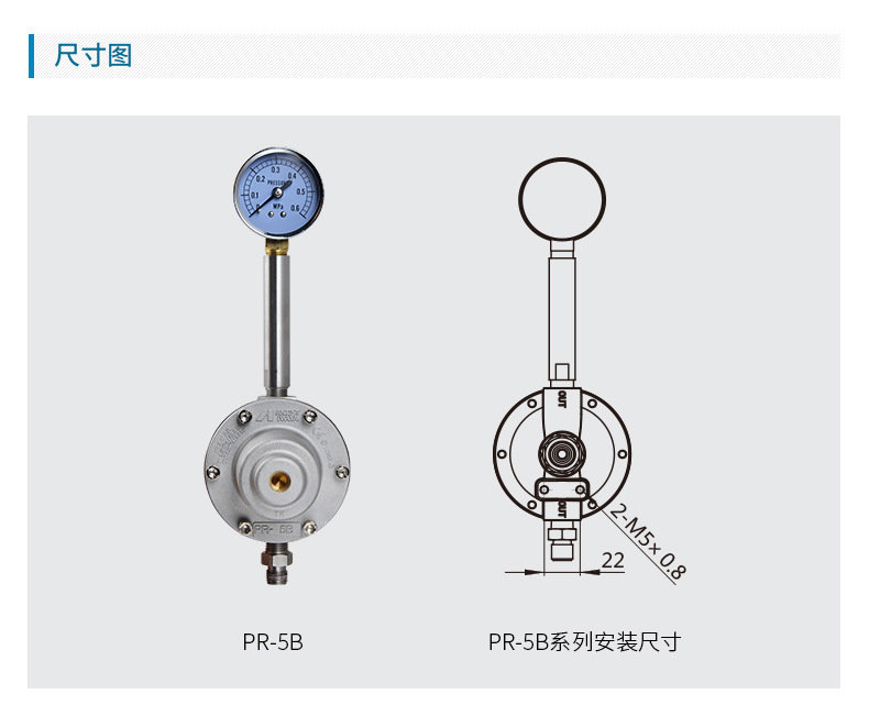 日本巖田涂料減壓閥 PR-5B涂料調節閥 手動涂料穩壓閥示例圖6