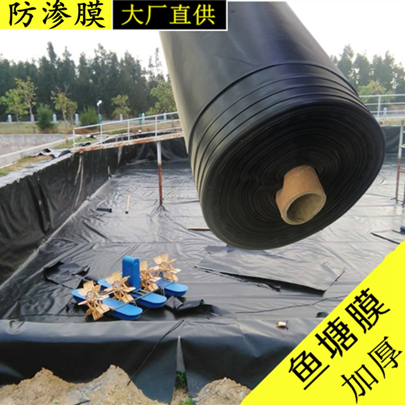 HDPE土工膜養殖防滲膜專用膜機場建設養殖場黑膜沼氣池建設啟軒廠家直銷養殖防滲膜專用膜