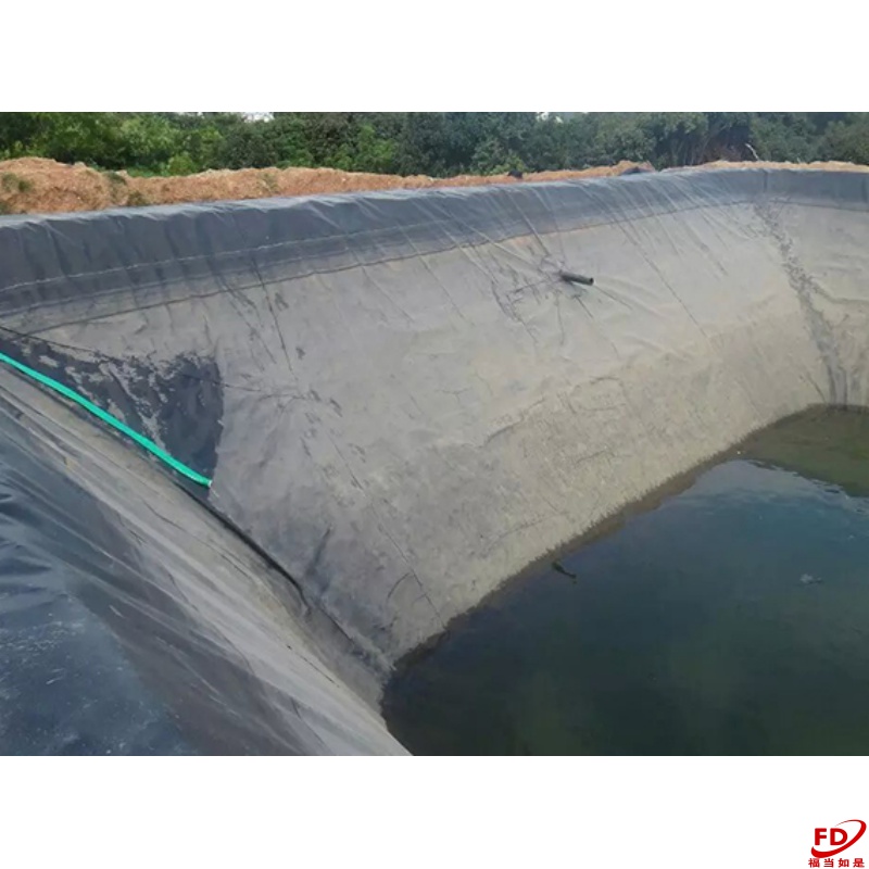 HDPE土工膜養殖防滲膜專用膜加厚防漏耐用30年啟軒廠家直銷養殖防滲膜專用膜