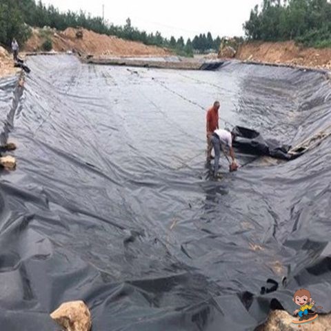 防滲膜養殖防滲膜專用膜加厚黑色塑料薄膜啟軒廠家直銷養殖防滲膜專用膜