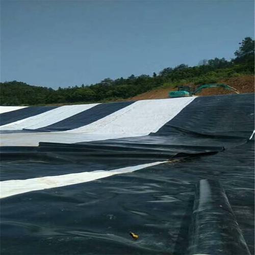防滲膜高密度聚加厚膜水庫防水防滲專用啟軒高密度聚加厚膜