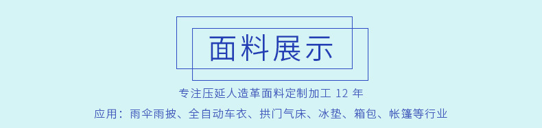 雪花布舞龍布 陽離子牛津箱包里布面料pvc螞蟻布戶外運動帳篷面料示例圖5