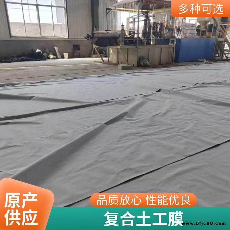 復(fù)合土工膜防滲一布兩布一膜 魚塘河道防水養(yǎng)殖膜加厚防滲布土工布