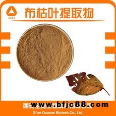 源頭廠家 現貨直銷  布枯葉粉99%  布枯葉黃酮 布枯葉提取物10:1 可定制資質齊全