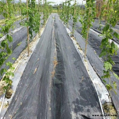 防草布 農業種植果園防草地布規格 宇潤pp防草地布價格