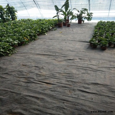 防草布 深圳農業種植果園防草地布規格 宇潤pp防草地布價格