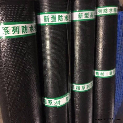 防水卷材價格  耐根穿刺防水材料 SBS改性瀝青防水卷材 延年  防水卷材廠家