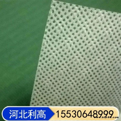 建筑屋面透氣膜 防水透氣膜 利高 隔熱棉輔材防水透氣膜 保溫棉隔氣膜