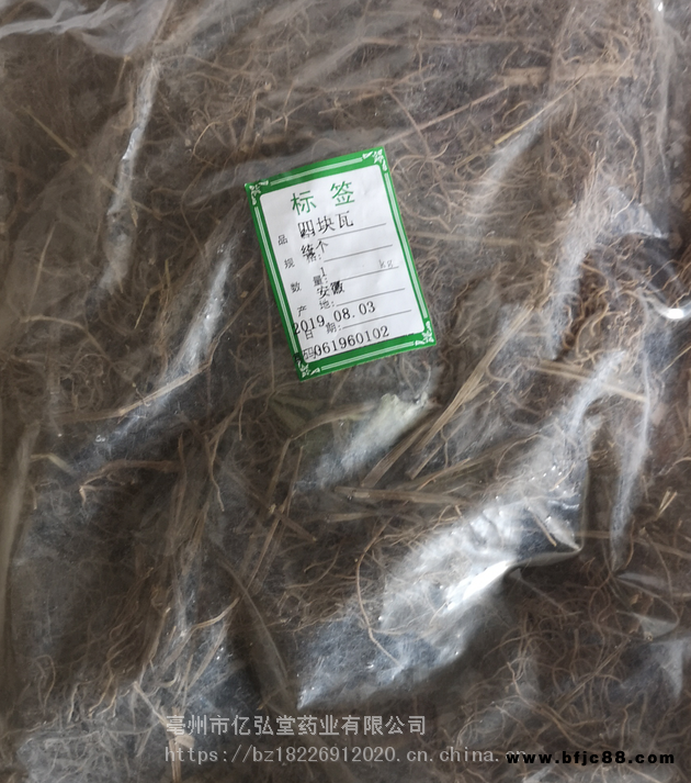 野生四片瓦 供應四片瓦產地低價批發 四片瓦質量上乘
