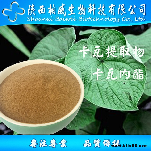 卡瓦提取物 卡瓦內脂 10% 規格20% 30% 50% 現貨供應 量大優惠 柏威生物 源頭工廠貨源