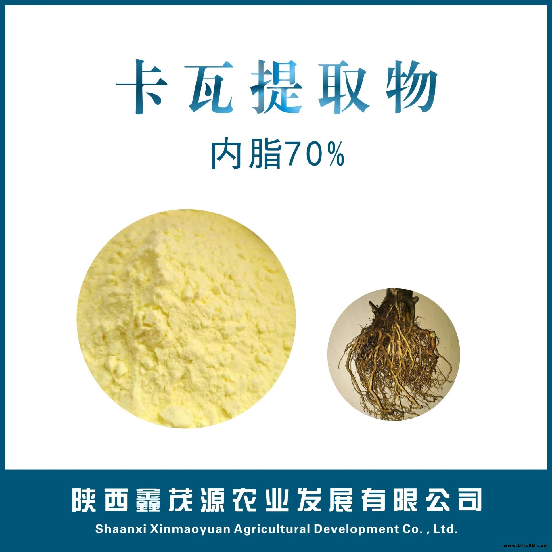 卡瓦提取物 含量產(chǎn)品 卡瓦內(nèi)脂 瓦努阿圖進(jìn)口原料 根部提取