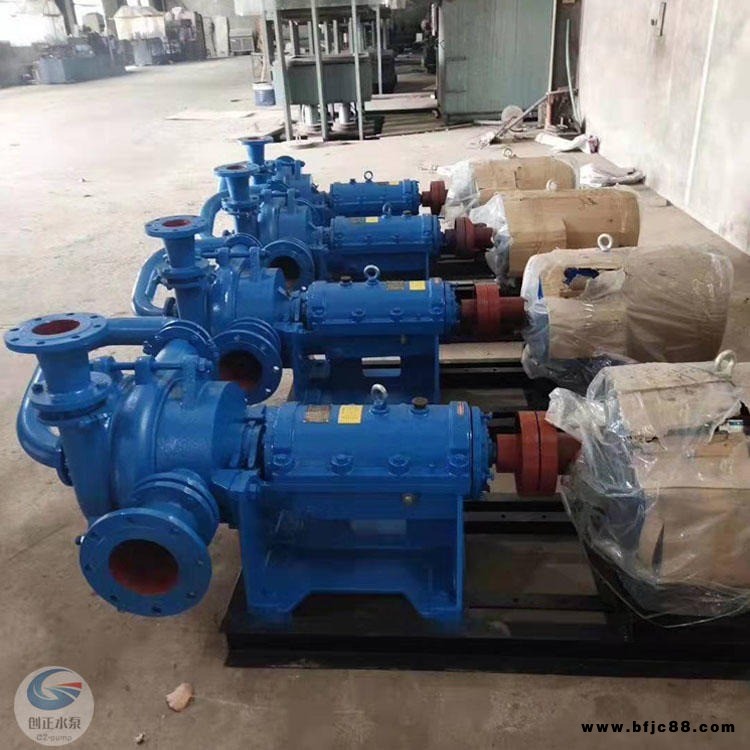 創(chuàng)正 砂石廠壓濾機(jī)給料泵 洗砂污水處理泵 益陽(yáng)壓濾機(jī)入料泵