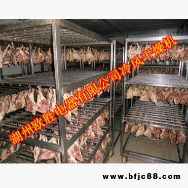 歐勝 腌臘制品冷風干燥機|腌臘制品低溫烘干機|腌臘制品冷風脫水機