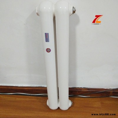 鋼二柱暖氣片 鋼制柱型暖氣片 QFGZ216碳鋼暖氣片 工程暖氣片