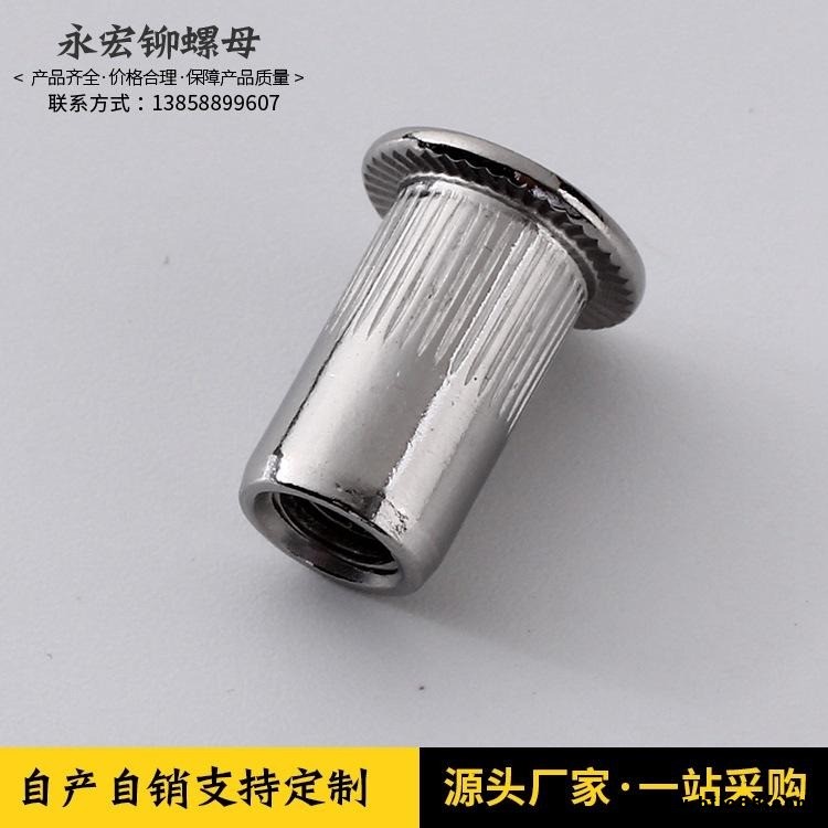廠家  定做   批發   多規格    M3-M12    不銹鋼螺母    平頭柱紋   拉鉚螺母 精致做工