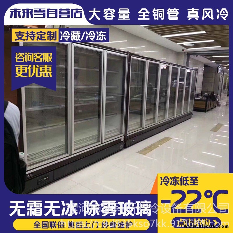 冰科斯-WLX-LSLD-44 火鍋保鮮類(lèi)食材  餐飲食材保鮮冷藏柜  冷凍柜廠家  火鍋必不可少的食材