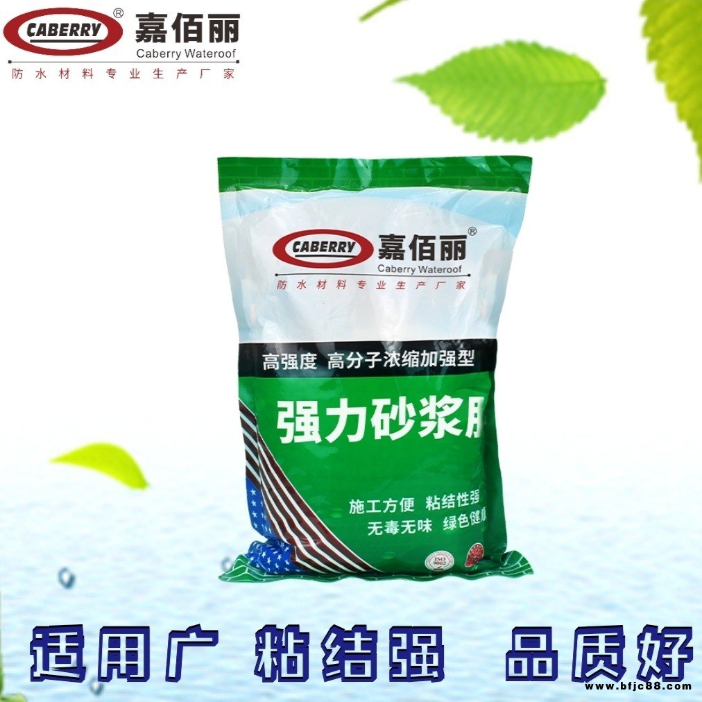 砂漿伴侶 嘉佰麗強(qiáng)力砂漿膠 多用途粘結(jié)度強(qiáng)