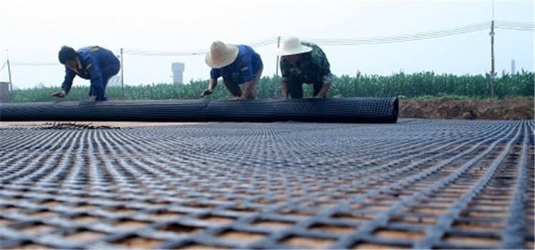 玻璃纖維土工格柵 廠家直銷玻纖土工格柵玻璃纖維 玻纖土工格柵示例圖25