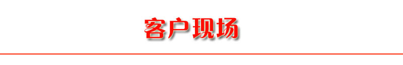 一柱一梯/一柱兩梯工地貨物升降機 蓋房專用物料提升機貨梯全國用示例圖18