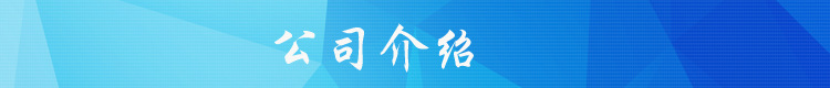 定制 汽車雙柱四柱舉升機簡易液壓升降貨梯固定電動汽修升降平臺示例圖1